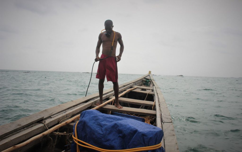 Liberia’s fishery authority colluding sea cucumber fishery from the locals