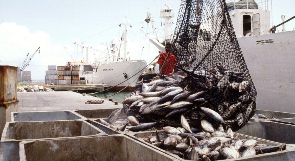 Crimes Maritimes en Afrique de l’Ouest : traquer la pêche illicite, non déclarée et non réglementée (INN)