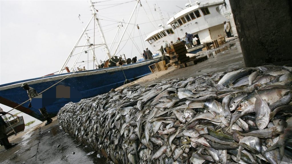 Publication des données du secteur des pêches au Sénégal : une bataille sans merci
